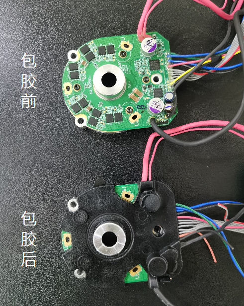 樣品